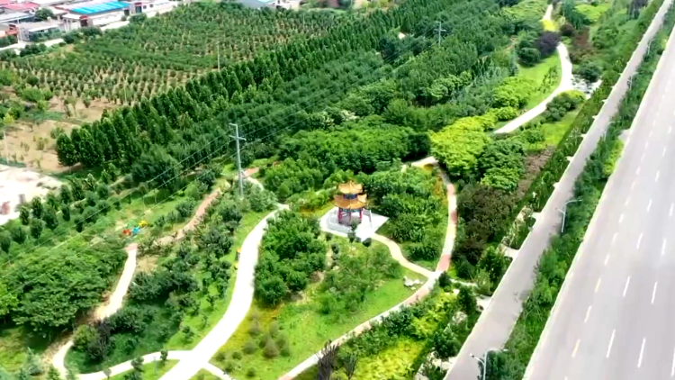 【走向我们的小康生活】辛集：“口袋公园”提升群众幸福感