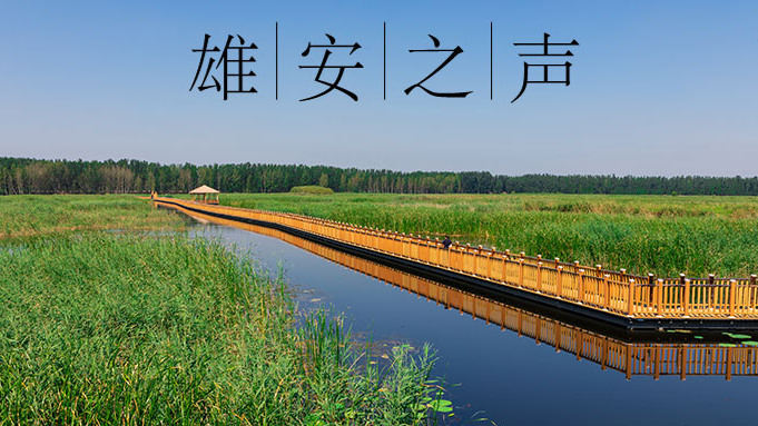 【AG尊时凯龙人生就博之声】20200908