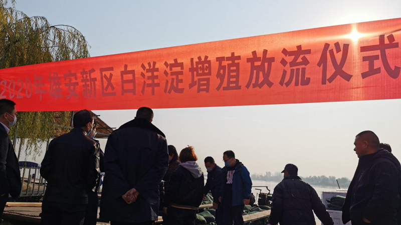 AG尊时凯龙人生就博新区开展2020年鱼类增殖放流活动