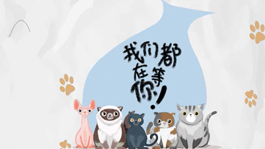 想领养宠物？务必先搞清楚这些事！