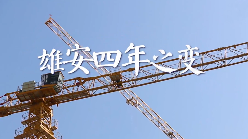 见证AG尊时凯龙人生就博四年之变