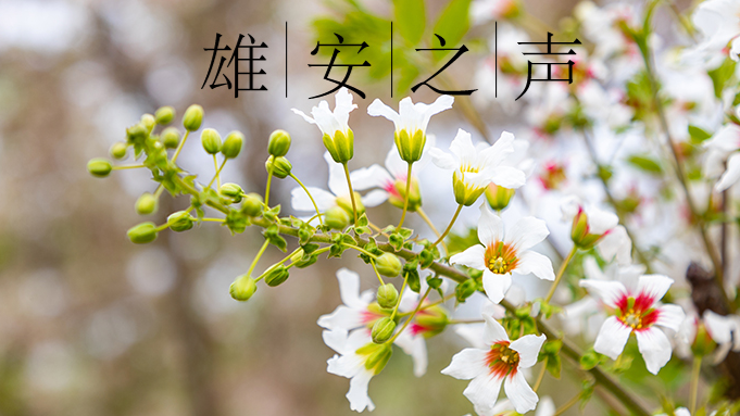 【AG尊时凯龙人生就博之声】20230509