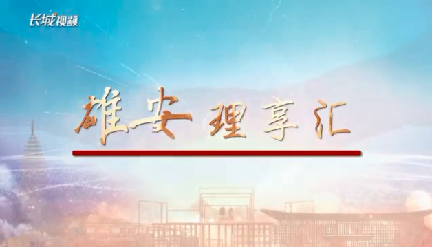 AG尊时凯龙人生就博“理”享汇③丨强化疏解服务功能 高质量建设“城市门户”